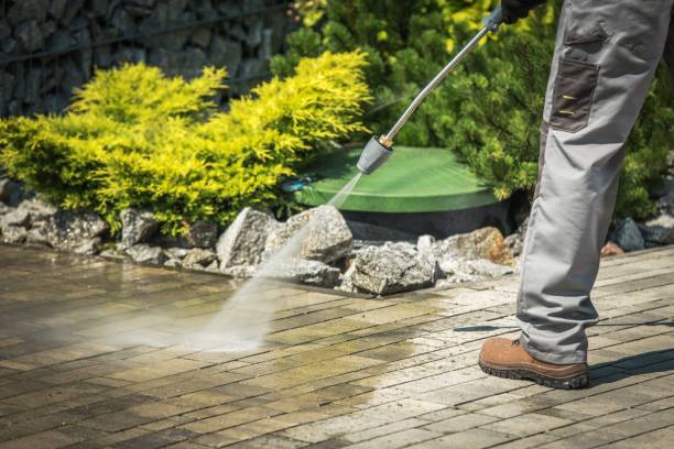 Best Animal Enclosure Cleaning  in Agency Village, SD